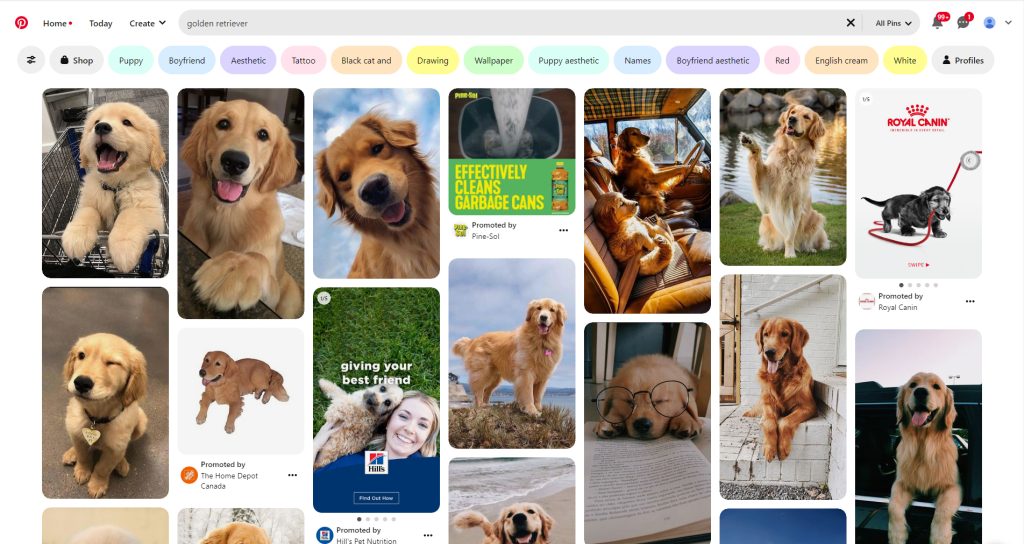 Pinterest Search Engine Algorithm Pinterest Search Engine Algorithm