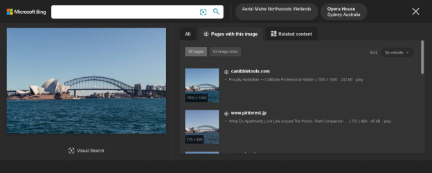 How to Do a Google Reverse Image Search from Your Phone or PC 9 Bing Visual Search