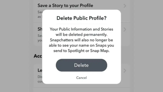 Delete Public Profile Delete Public Profile
