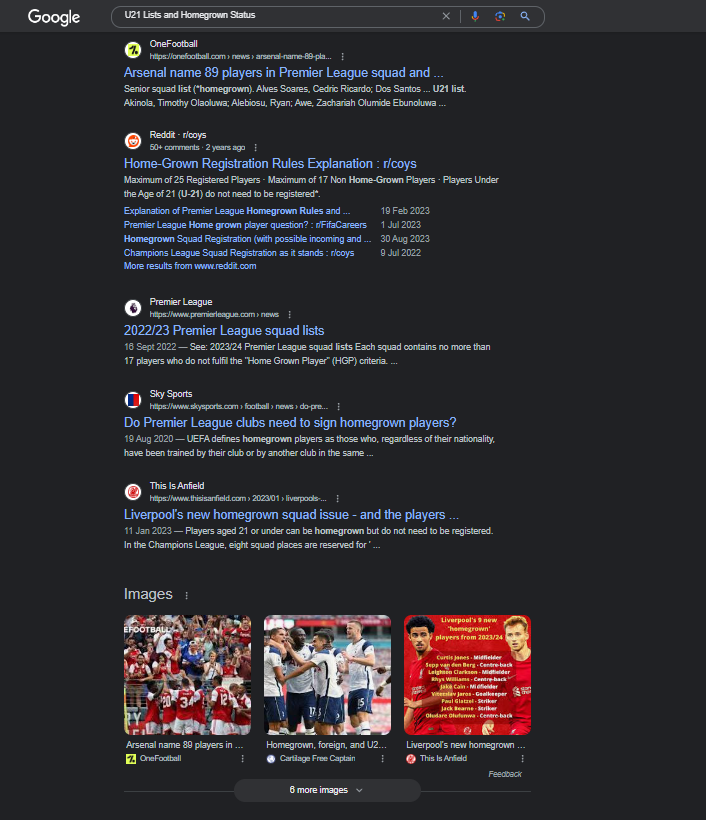 Search Engine Results Page Search Engine Results Page