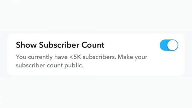 Subscriber Count Snapchat Subscriber Count Snapchat